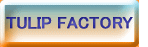 TULIP FACTORY 
